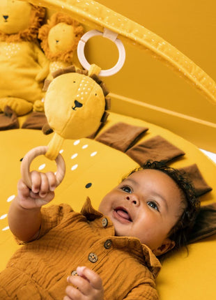 Activity Play Mat with Arches - Mr. Lion