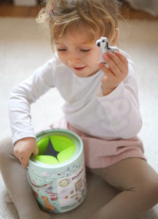 Mystery Box Touch and Match