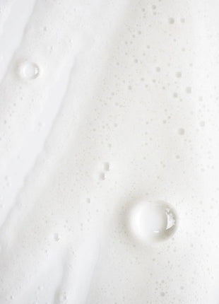 REFILL for Linden Flower Shampoo With Nordic Birch Extract - 500ml